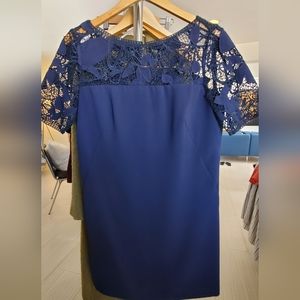 Ann Taylor Applique Sheath Dress Deep Blue (8)